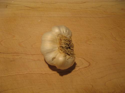 garlic008.jpg