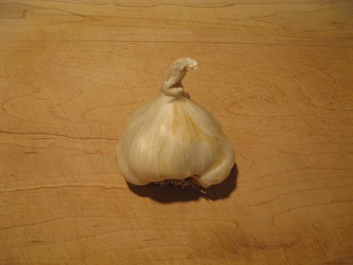 Garlic002.jpg