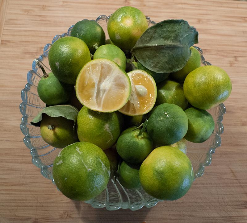 calamansi.jpg