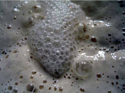 starter closeup.jpg