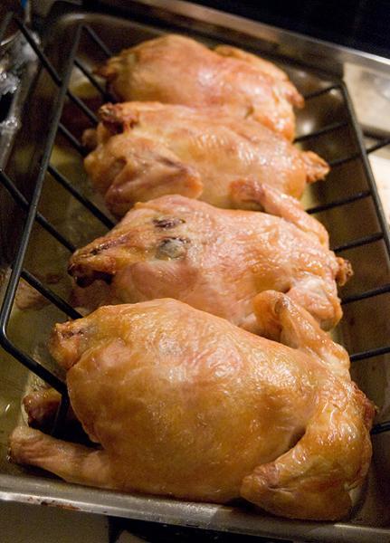 Gumbo2010-Chickens4.jpg