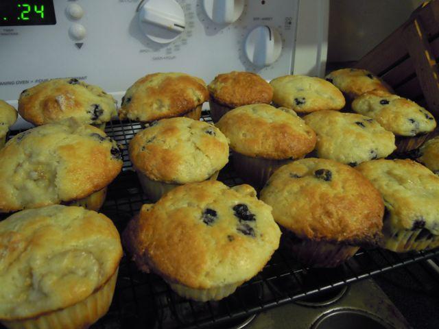 muffins.jpg