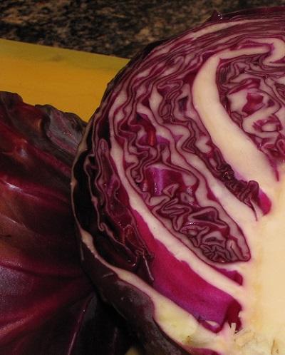 Red cabbage beauty closeup.jpg