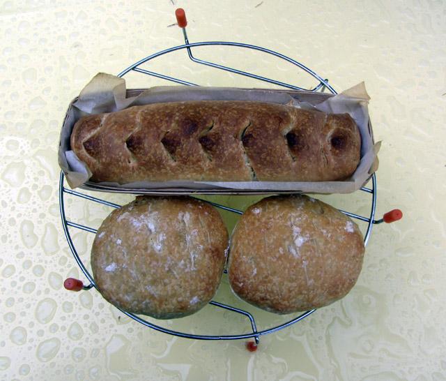 brioches 001 small.jpg