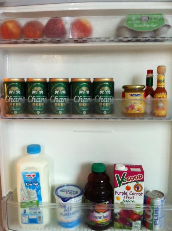 securedownload fridge.jpg