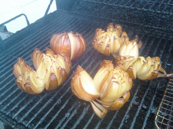 smoked onion for powder.jpg