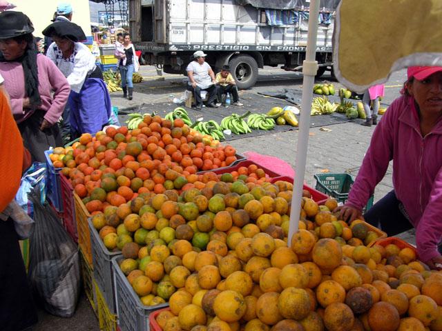 Caluma Oranges.jpg