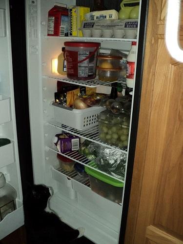 Fridge.jpg