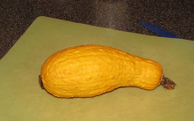 Squash uncut.jpg