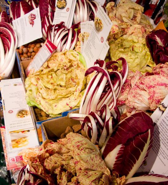 091212radicchio-vertical.jpg