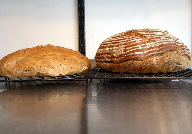 gf and rye breads, side by side.jpg