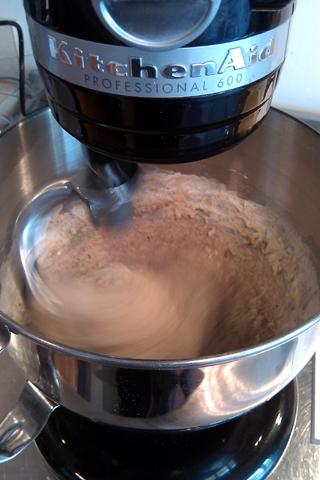 mixing rye dough.jpg