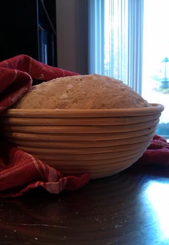 rye dough in brotform.jpg