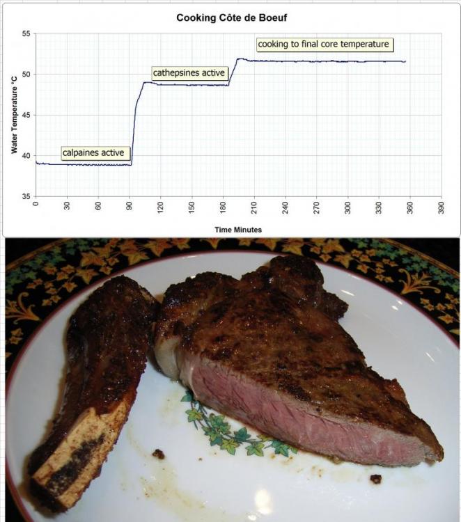 Cooking_cote-de-boeuf.jpg