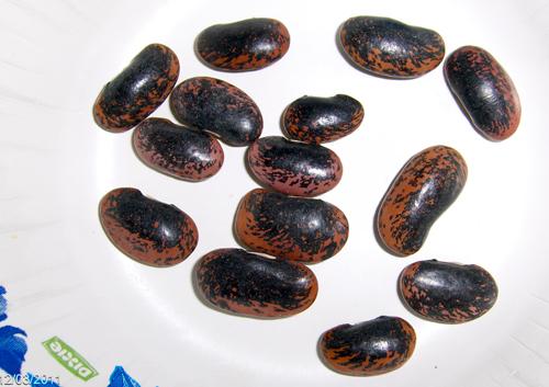 Mark beans 1.JPG