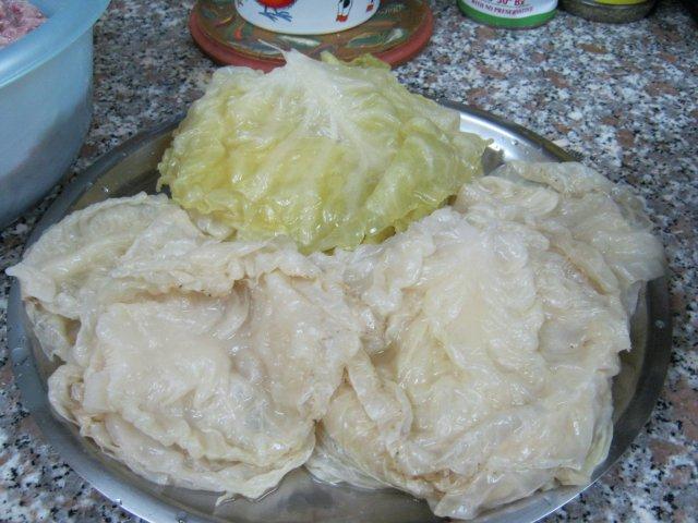 cabbage leaves defrozen and separated.jpg