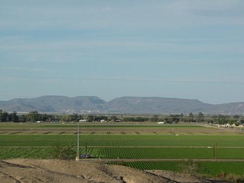 Colorado River crops.jpg