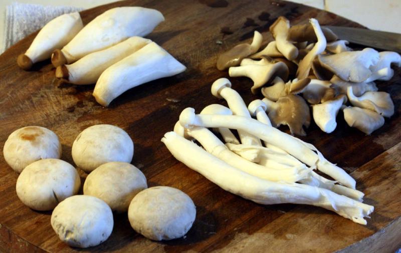 mixed fresh mushrooms.jpg