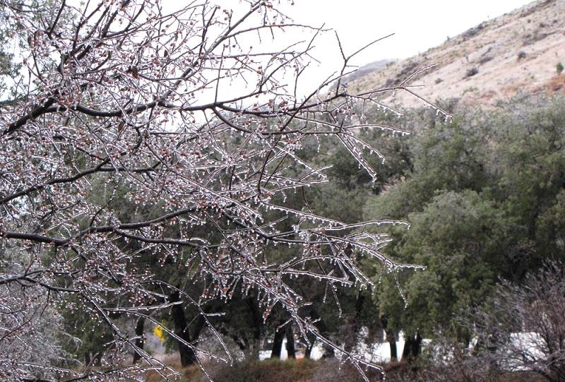 Davis Mts ice storm.jpg