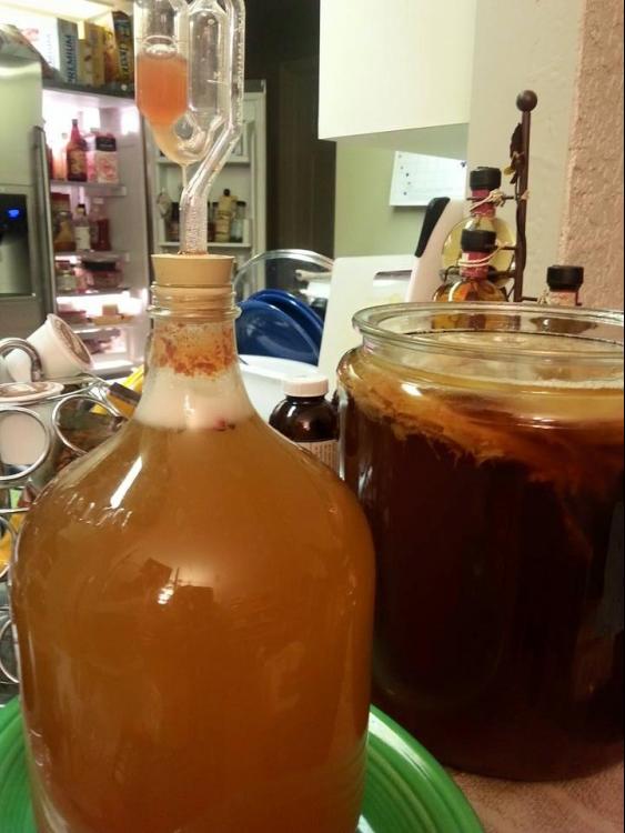 kombucha2fmay92015.jpg