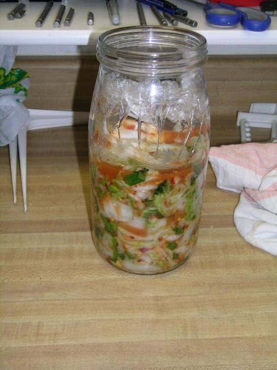 56f07b9422114_Kimchi004.thumb.JPG.1797e5