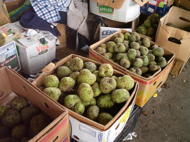 Cherimoya.jpg.84b2af1431ad87746092ae20b6