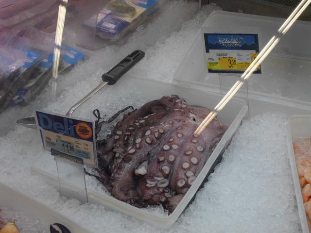 Octopus.jpg.7b3db93ae9342598af87421cd26b