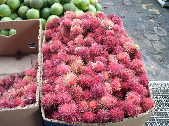 Rambutan.jpg.8fabe1e1643edf201beb577db25