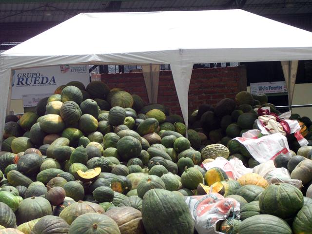 Squashlandia4.jpg.ced94bded684afcd710096