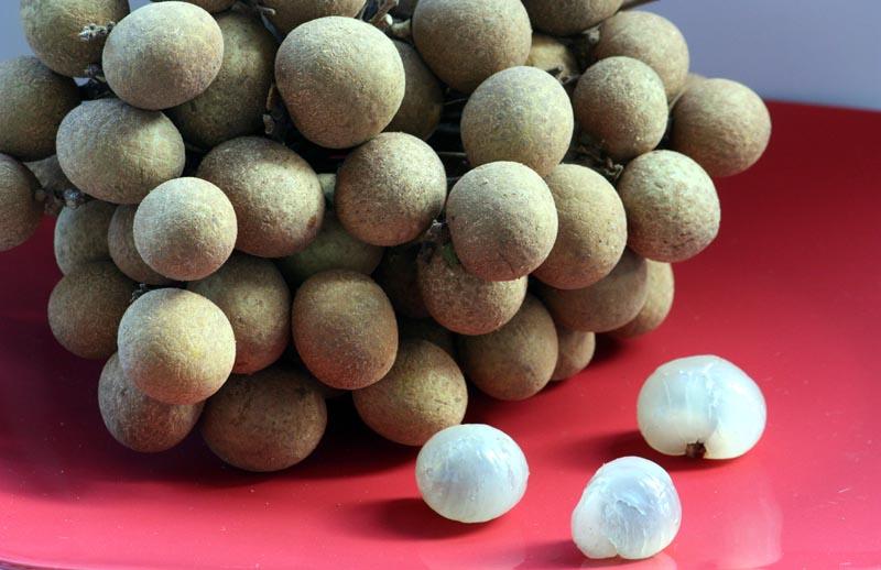 longan2.jpg