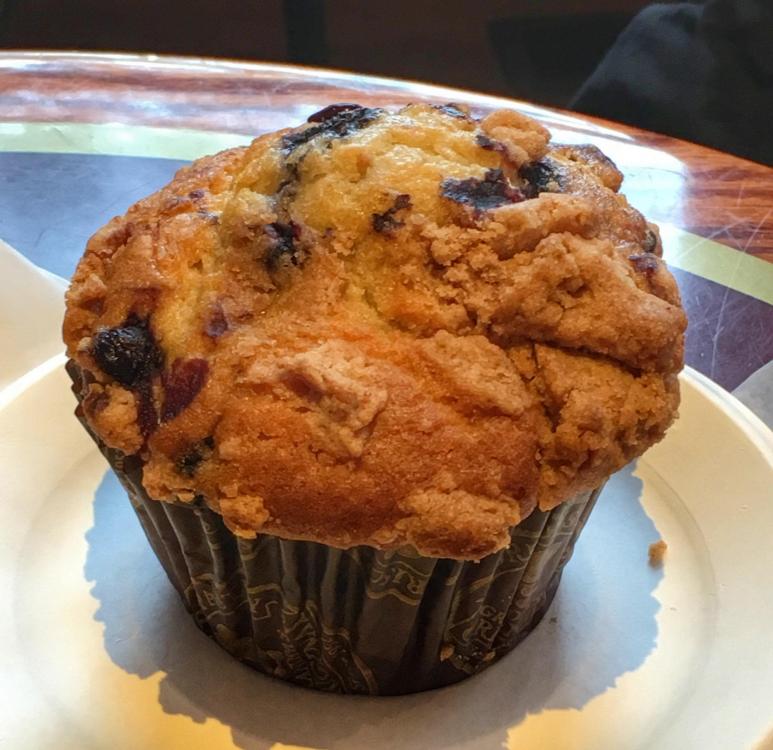 chocolate sparrow blueberry muffin.jpg