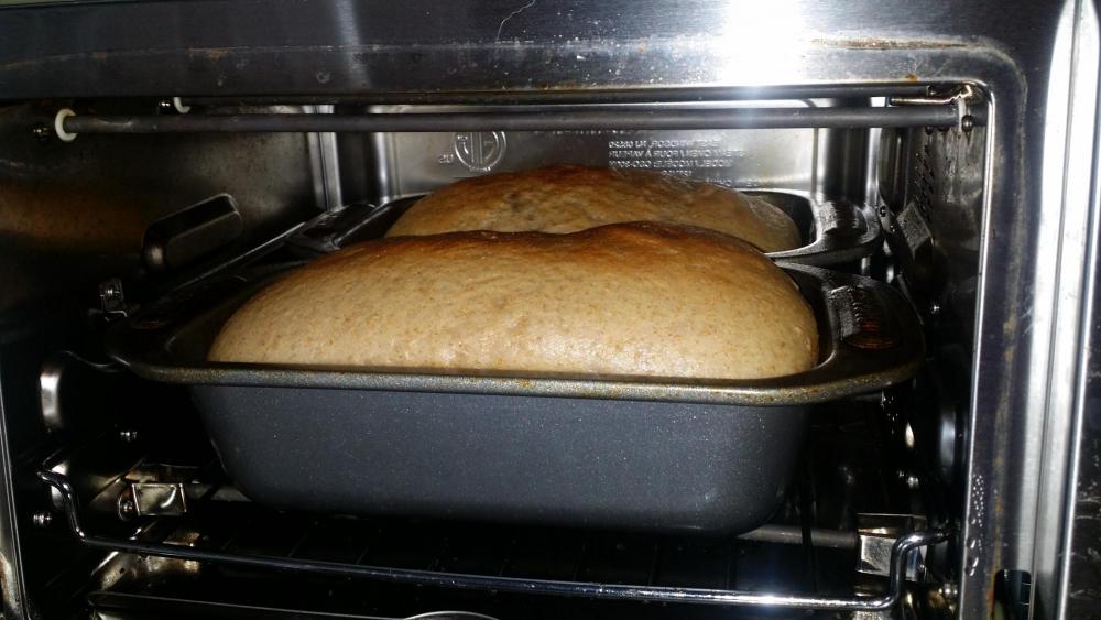 bread 0929 oven.jpg