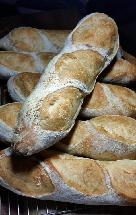 Baguettes_January_17th,_2016.jpg