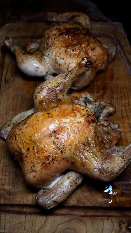 Roast_Chicken_February_13th,_2017.jpg