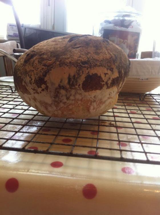 Sourdough boule first try 2 Apr 17.jpg