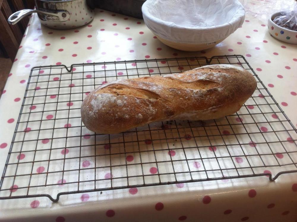 Sourdough loaf first try 2 Apr 17.jpg