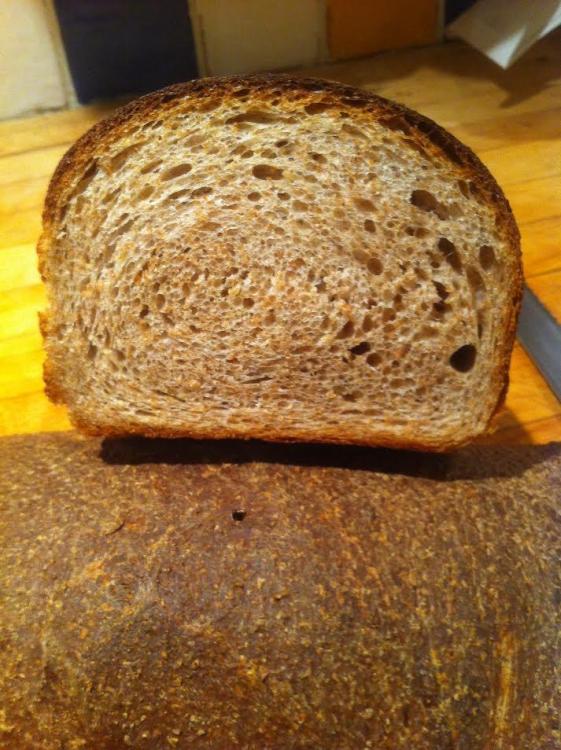 58f6aecce496c_wholewheatbreadusingpoolish.thumb.jpg.57d6f4402d864c1d02d0809aca5439a8.jpg