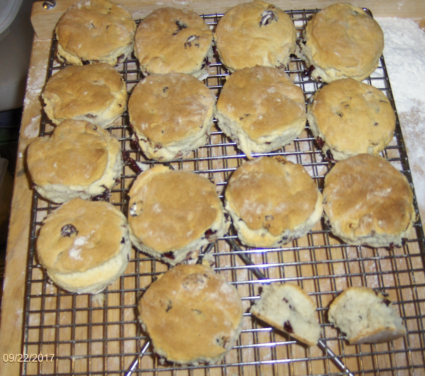 59c675f3eac31_Cranberrypecanscones.thumb.png.b22feaa1f2c5b3ce583a76f9cc7b718b.png