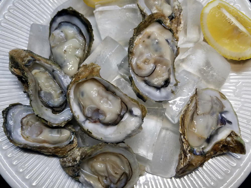 oysters.thumb.jpg.defca0824eccce42d3627ccb425b182d.jpg