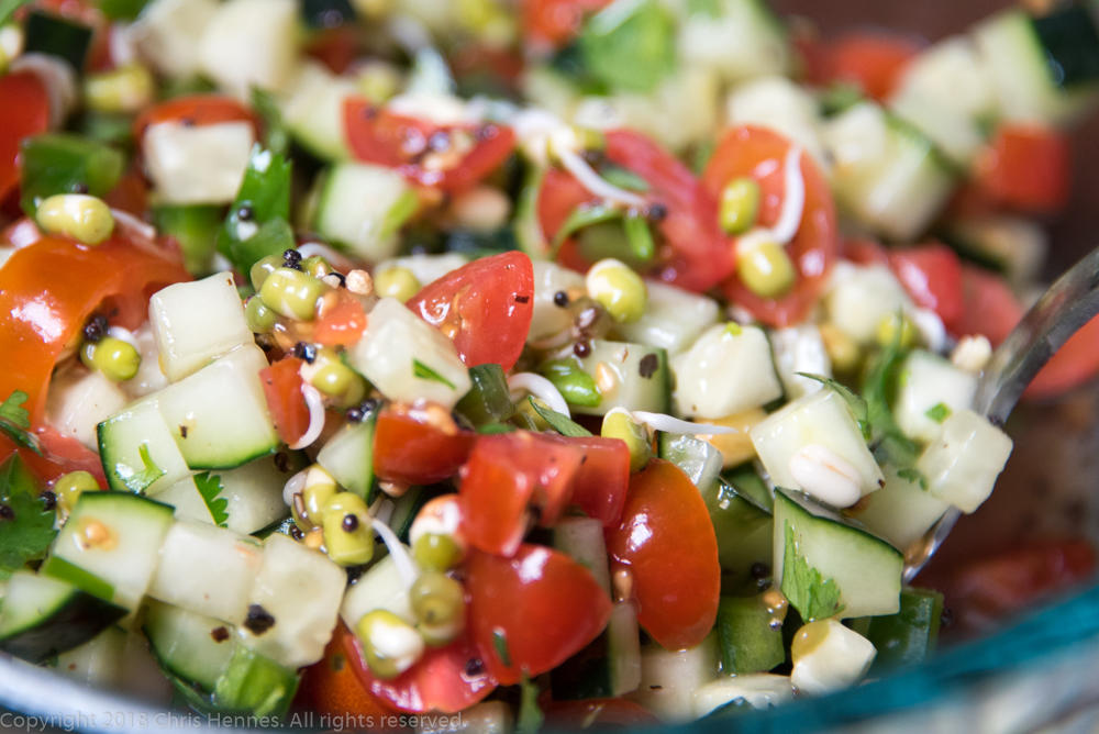 Salad with Indian Style Bean Sprouts p342.jpg