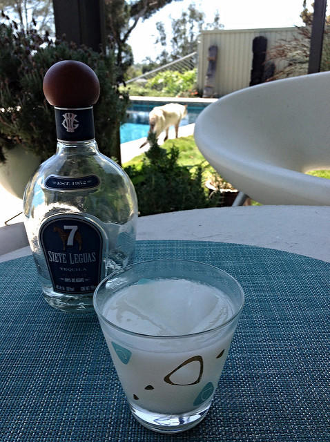 Post in Tequila Cocktails