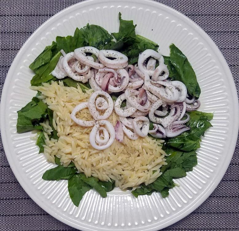 orzo1.thumb.jpg.2699e21fb5a962530466c31b67b2a99e.jpg