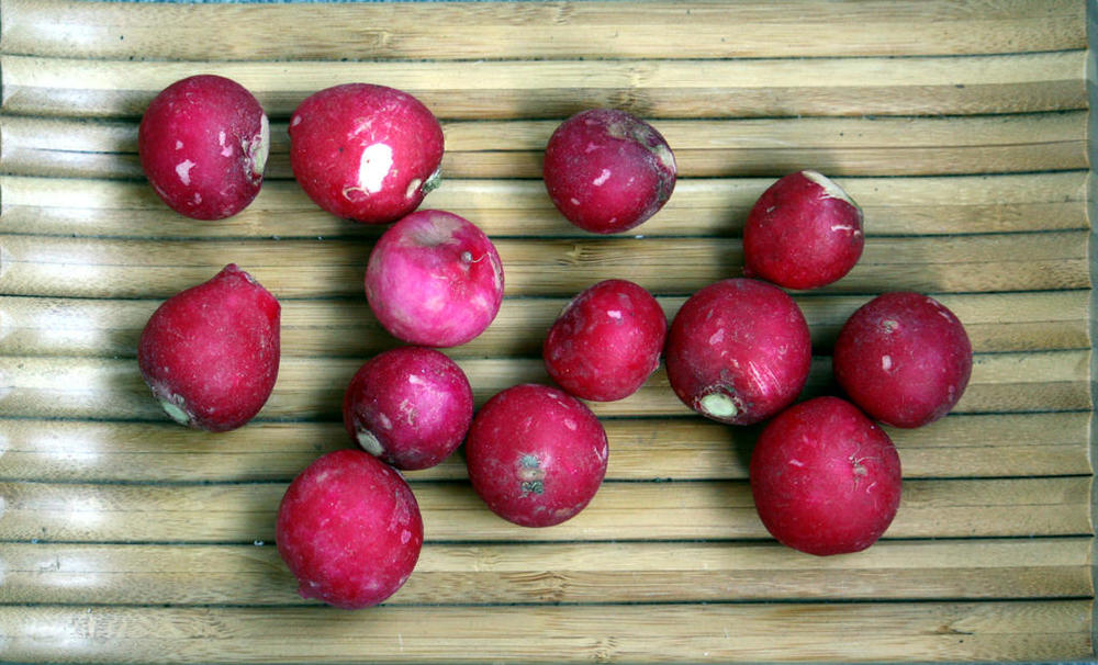 1026560457_radishes(1).thumb.jpg.4b2077cb6bf6680a670f233085231ae4.jpg