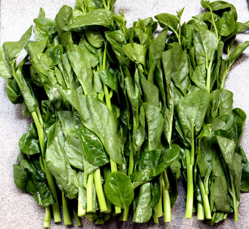 1427012433_MalabarSpinach.thumb.jpg.2b4bc609c6eef4595bf3e5fbe05849d1.jpg