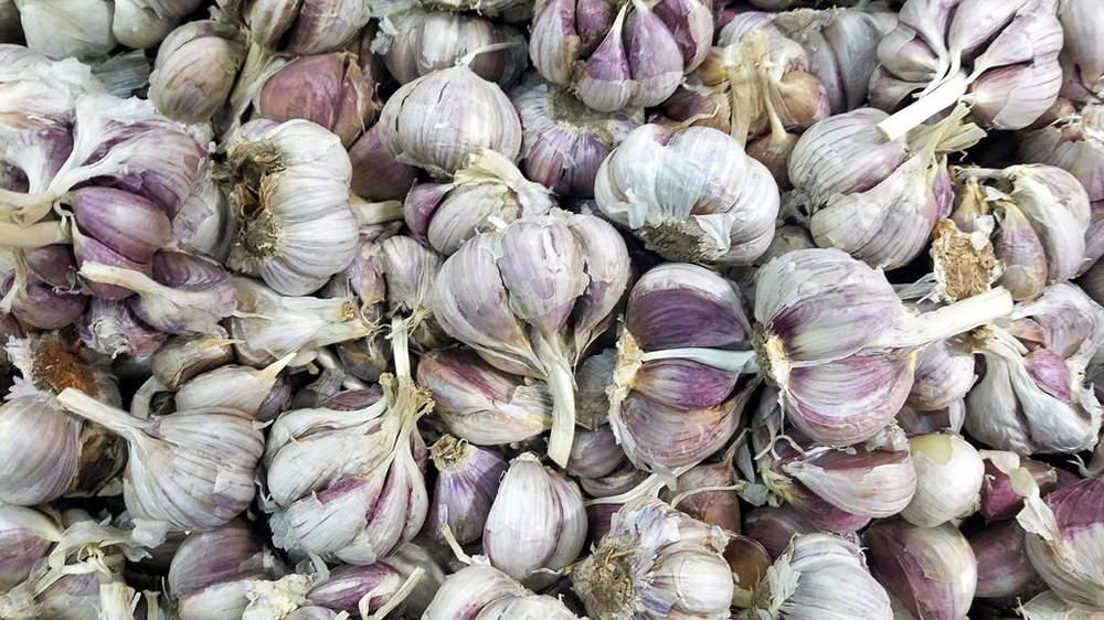 taste garlic.jpg