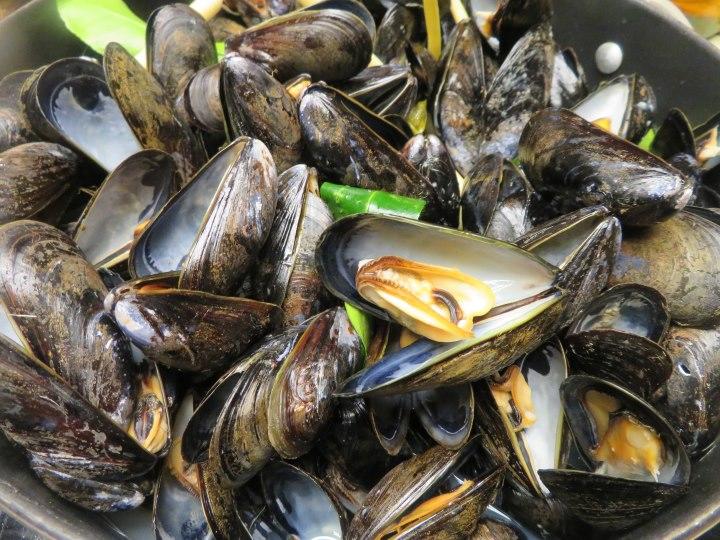 86101587_Mussels6965.jpg.be49196158886fe0ab9cc40fbcfcd15c.jpg