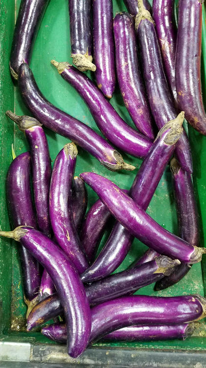 aubergine1.thumb.jpg.87a7bb6bb0b2f7edf188b7d01ef6976c.jpg