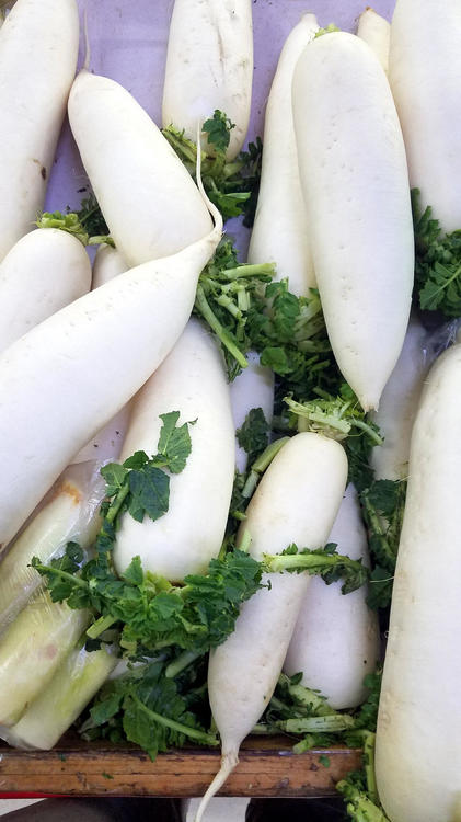 daikon.thumb.jpg.36091de6536ee8d391261d0cc874850e.jpg