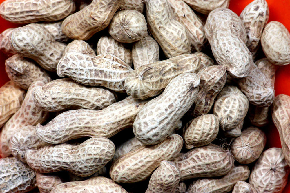 peanuts2.thumb.jpg.439376c55fd269c6896cfed5c001a467.jpg