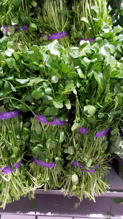 watercress.thumb.jpg.da36f32e7e802fda9b7a571dd4cc0c54.jpg